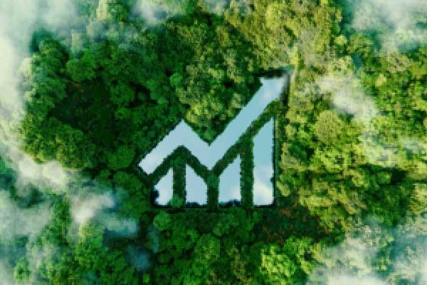 标普500展望：疲软数据提高美联储降息预期，股市能否反弹？